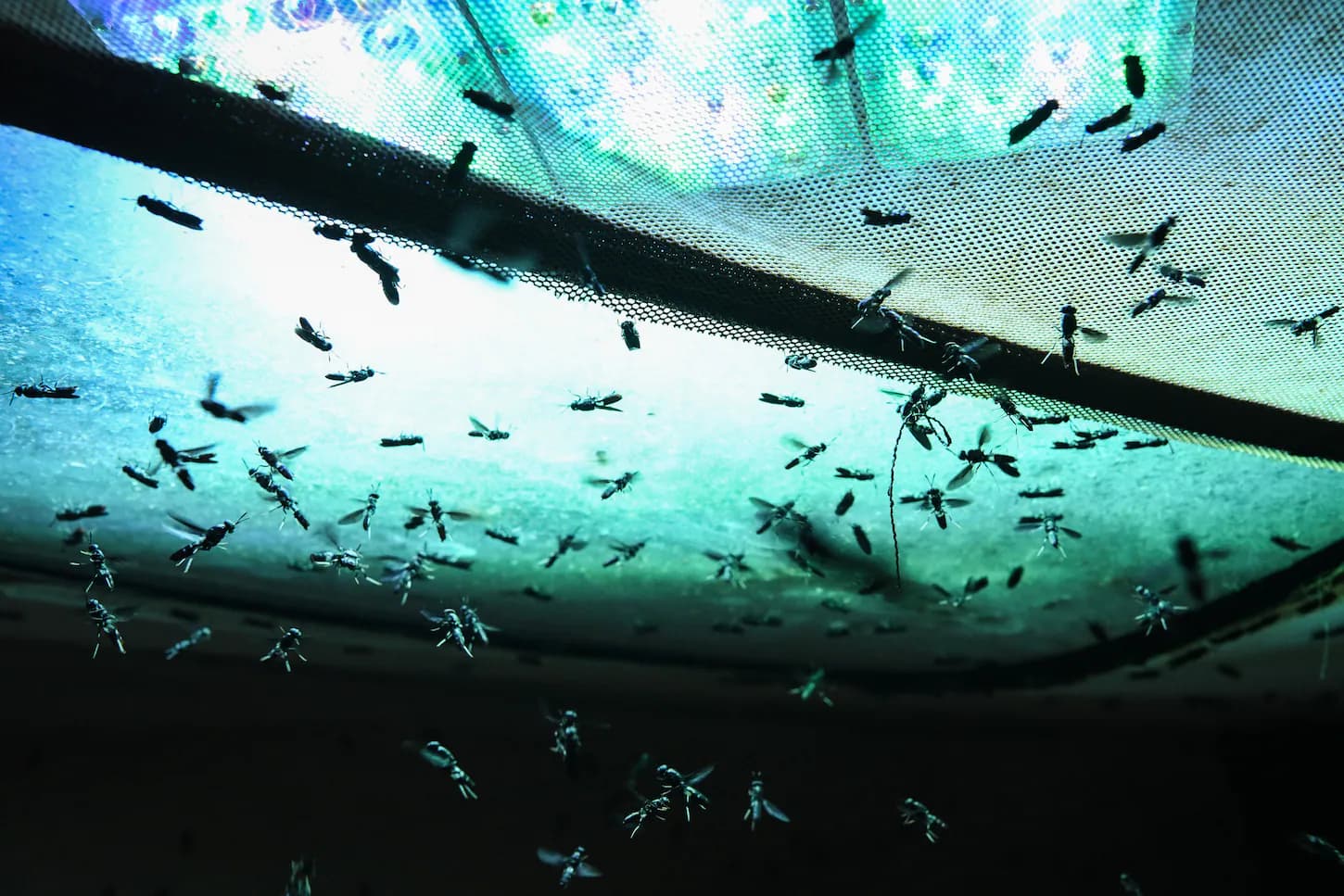 Screenshot of a Washington Post article